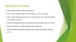 Harilik mais #9