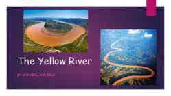 The Yellow River