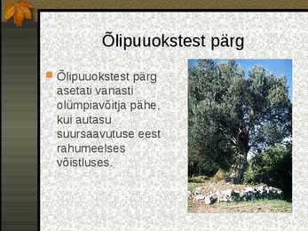 Antiikolümpia #24