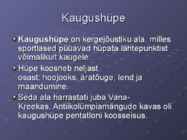 Kaugushüpe #2