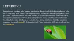 Putukate mitmekesisus #6