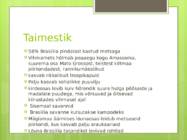 Brasiilia #5