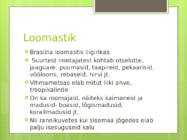 Brasiilia #6
