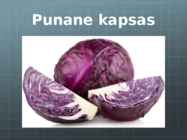Looduslik Indikaator #2