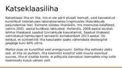 Taimetoitluse esitlus #13