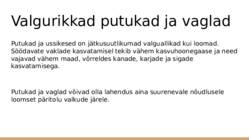 Taimetoitluse esitlus #15