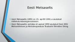 Eesti Metsaselts #2