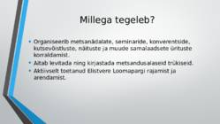 Eesti Metsaselts #4