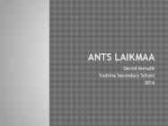 Ants Laikmaa PechaKucha