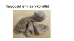 Kivid mineraalid #59