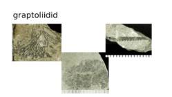 Kivid mineraalid #67