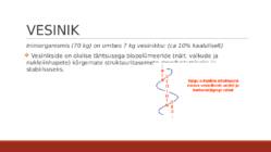 BIOKEEMIA #8