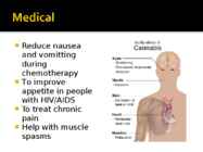 Cannabis #6