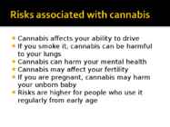 Cannabis #10