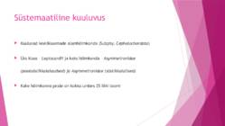 Cephalochordata ehk süstikkalad #2