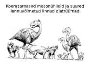 Uusaegkond #11