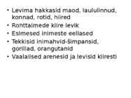 Uusaegkond #13