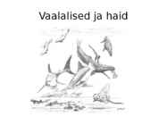 Uusaegkond #14