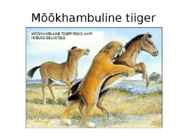 Uusaegkond #15