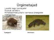 Uusaegkond #5