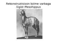 Uusaegkond #10