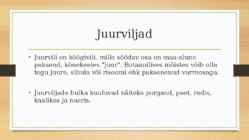 Juurviljad #2