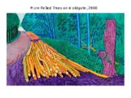 DAVID HOCKNEY #12