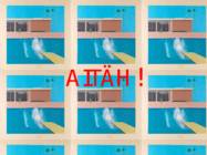 DAVID HOCKNEY #13