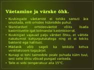 Orhideede kasvatamine ja hooldamine #13