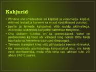 Orhideede kasvatamine ja hooldamine #19