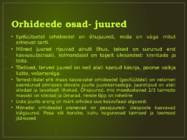 Orhideede kasvatamine ja hooldamine #4