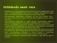Orhideede kasvatamine ja hooldamine #5