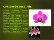 Orhideede kasvatamine ja hooldamine #6