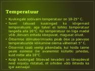 Orhideede kasvatamine ja hooldamine #9