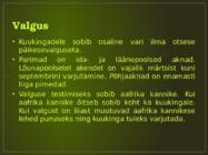 Orhideede kasvatamine ja hooldamine #10