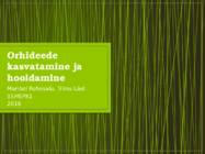 Orhideede kasvatamine ja hooldamine