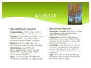 PUUKORISTAJA JA ARUKASK #3