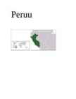 Referaat Peruust
