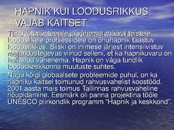 Hapnik #11