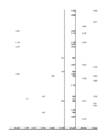 Informaatika I kodune töö tabelid #48