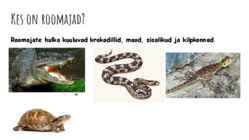Roomajad #2