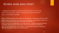 Kuidas teha auto välispesu #3