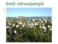 Eesti rahvuspargid