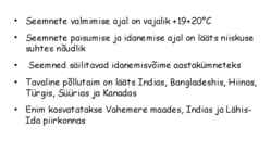 Läätse iseloomustus-toiteväärtus-kasvamine-sordid #7