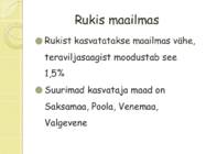 Rukis #12