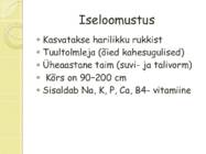 Rukis #6