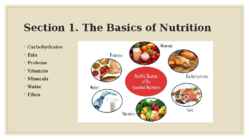 Understanding Health #3