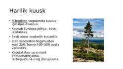 Puuliigid #4