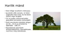 Puuliigid #5