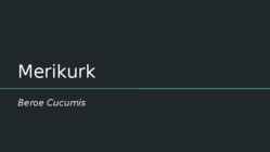 Merikurk